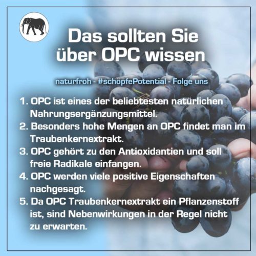 Was ist OPC