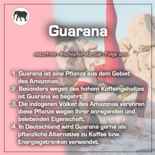 Was-ist-Guarana-1